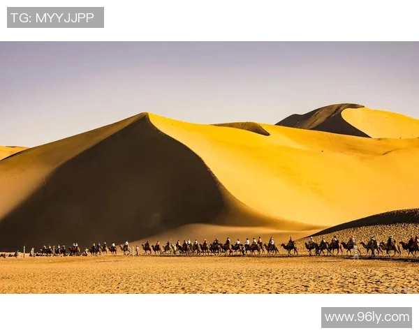 代怀博：探索现代科技与传统文化交融下的新生代艺术之路